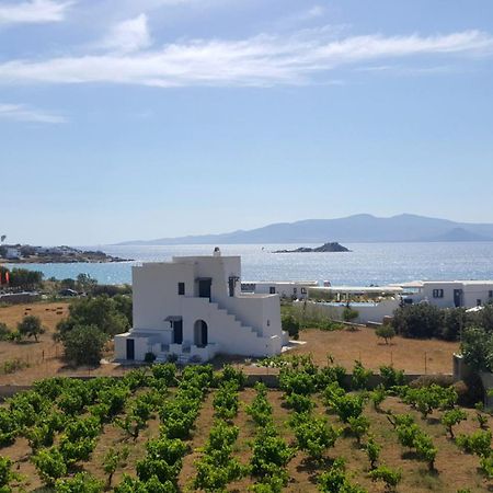 Matina Naxos - Mikri Vigla Guest House Стая снимка